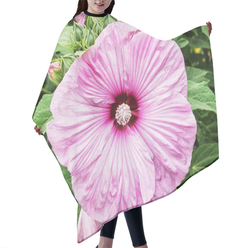 Personality  Beautiful Pink Hibiscus Flower, Natural Scene Hair Cutting Cape