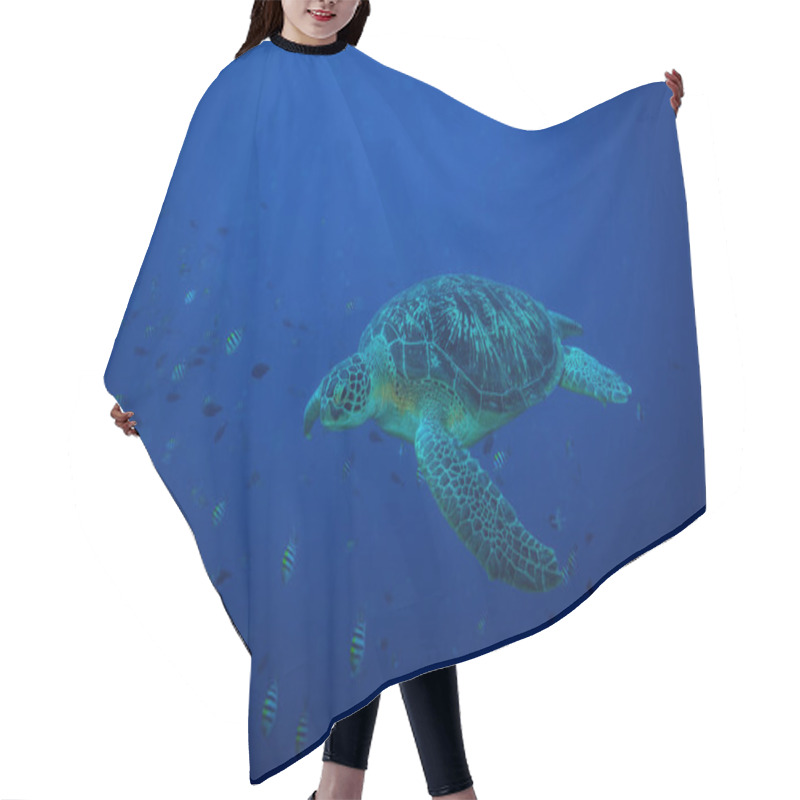 Personality  Underwater View Of Turtle In Komodo National Park Hair Cutting Cape