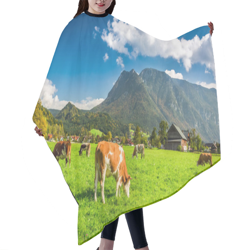 Personality  Herd Of Cows Grazing In Alps Hair Cutting Cape