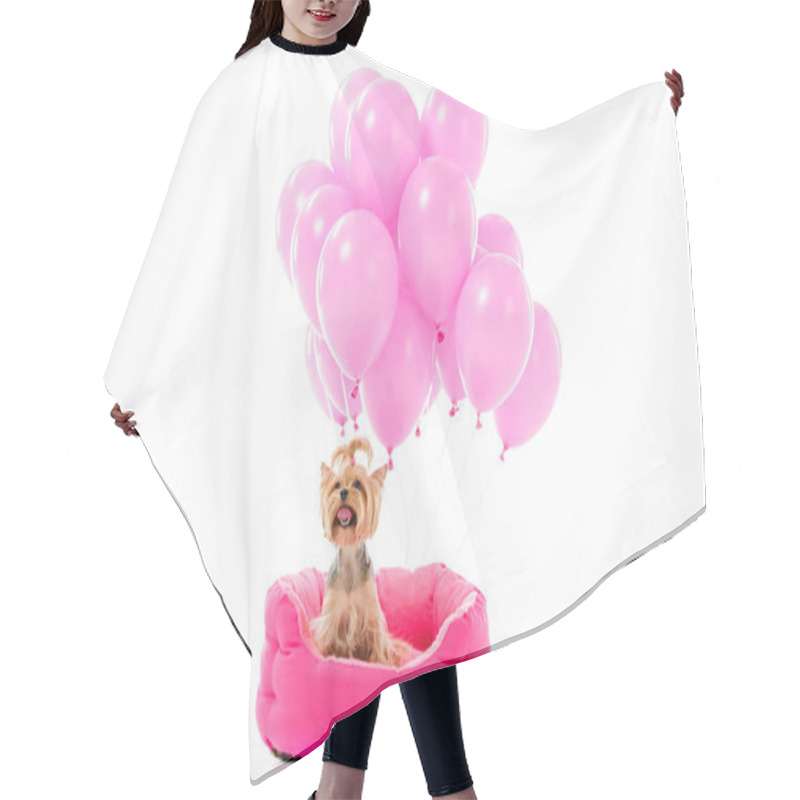 Personality  Dog Hair Cutting Cape