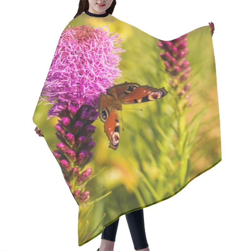 Personality  Buterfly In The Garden With Pink Flower Hair Cutting Cape