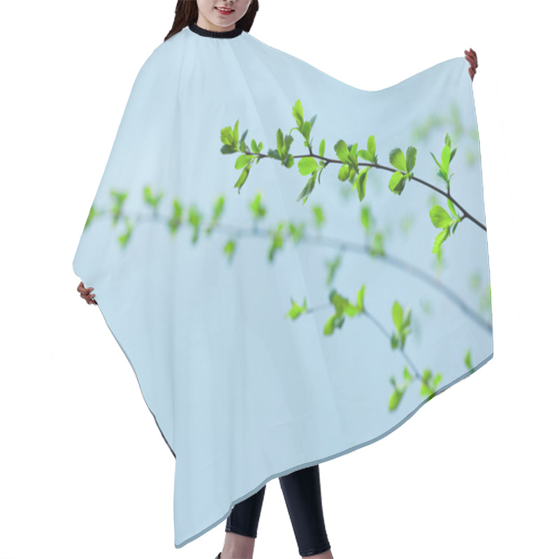 Personality  Green Branches Hair Cutting Cape