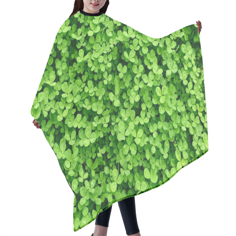 Personality  Green Background With  Shamrocks. St.Patrick's Day Holiday Symbol. Hair Cutting Cape