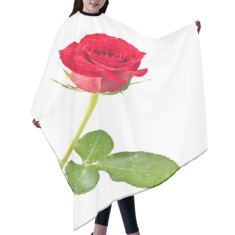 Personality   Rose Isolated Hair Cutting Cape