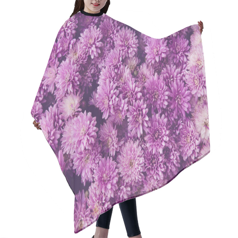 Personality  Chrysanthemum Flowers  As A Beautiful Autumn Background. Fall Th Hair Cutting Cape