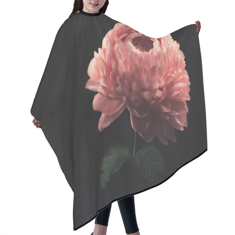 Personality  Large Flowers Made Of Foamiran And Paper On A Dark Background, Hand-made Rosebuds And Peonies, Homemade Compositions And Fire Flowers For Decoration And Design Hair Cutting Cape