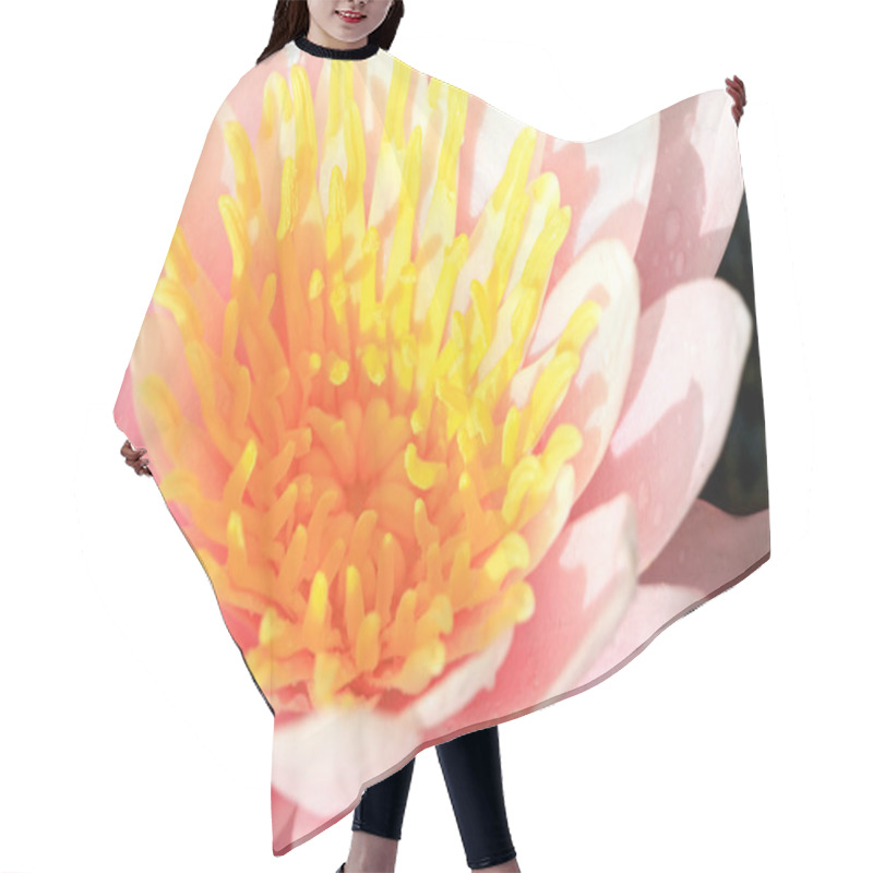 Personality  Pink Waterlily Hair Cutting Cape