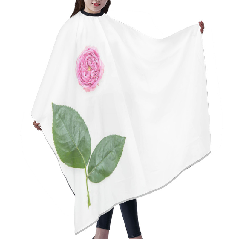 Personality  Beautiful Pink Rose Hair Cutting Cape