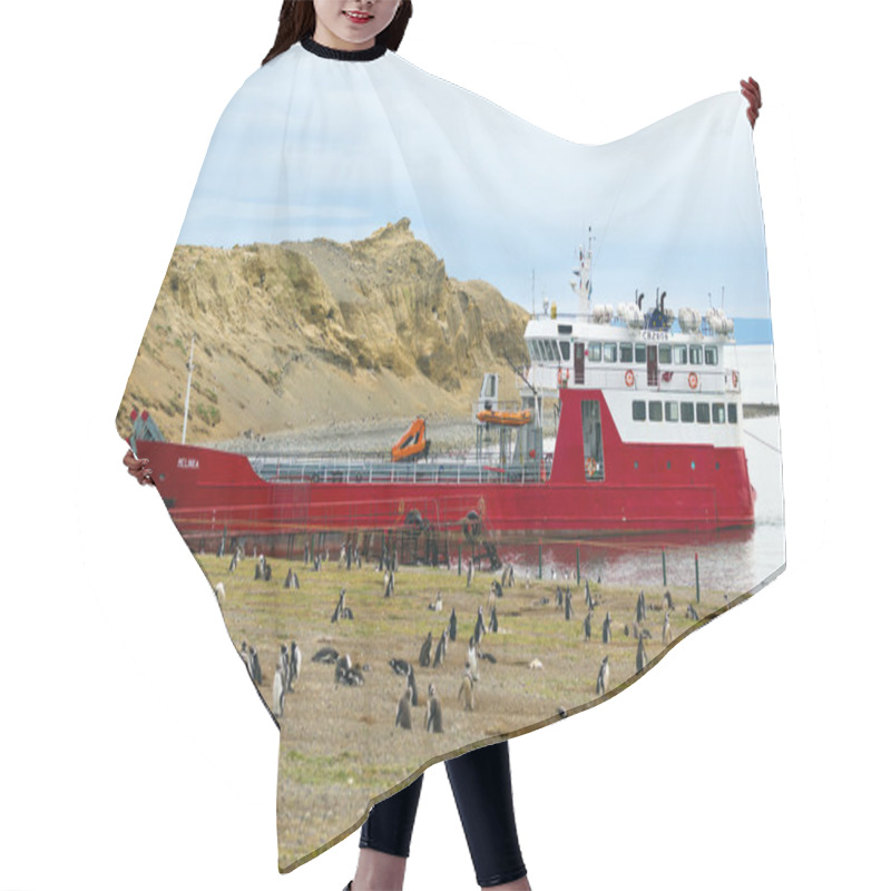 Personality  Melinka Ferry Anchored At The Coast Of Magdalena Island Hair Cutting Cape