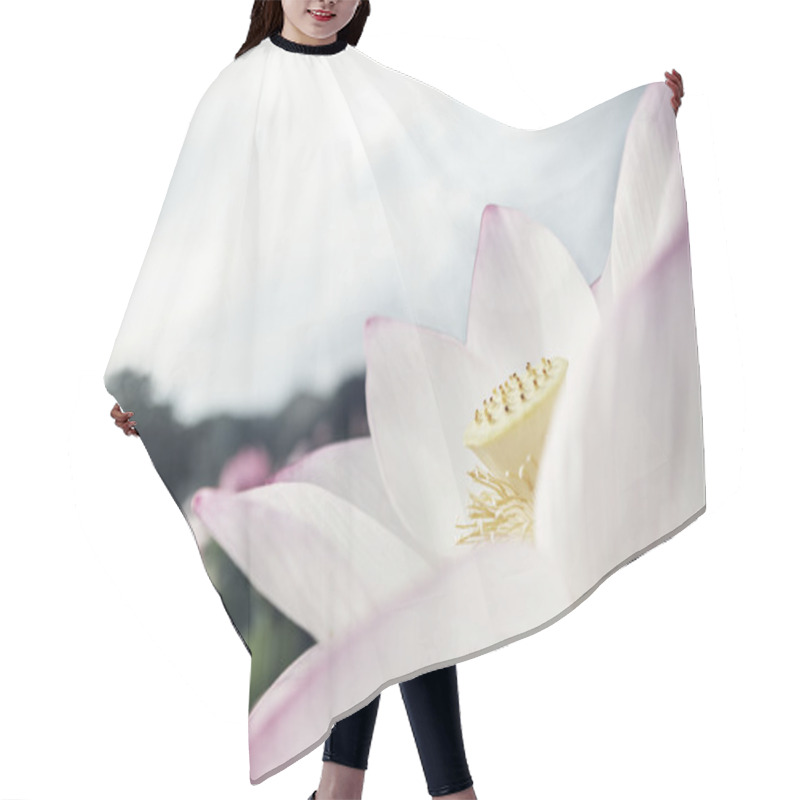 Personality  Pink Lotus Flower Hair Cutting Cape