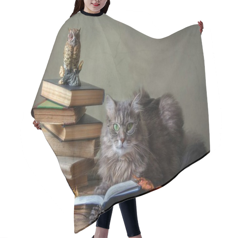 Personality  Adorable Gray Kitty In Glasses And Old Books Hair Cutting Cape