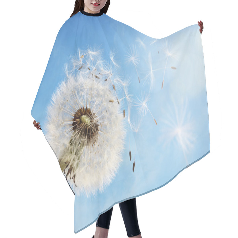 Personality  Dandelion Clock Dispersing Seed Hair Cutting Cape