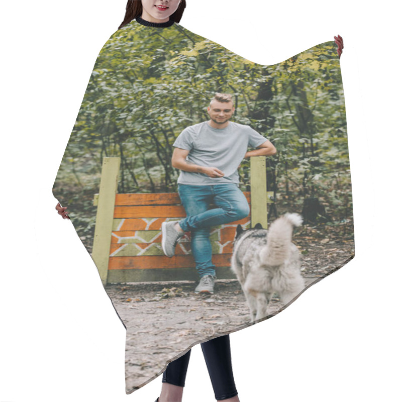 Personality  Cynologist Training With Siberian Husky Dog On Jumping Obstacle  Hair Cutting Cape