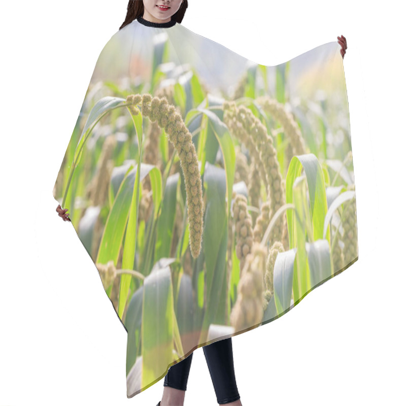 Personality  Millet Is Grown In The Fields Hair Cutting Cape