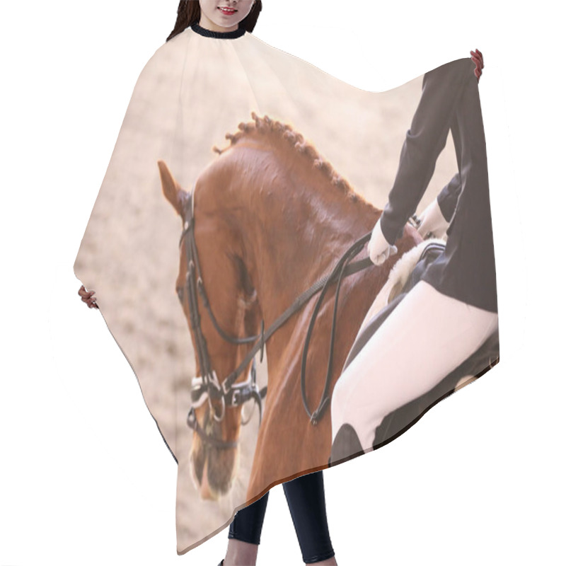 Personality   Portrait Of A Sport Horse During Dressage Competition Under Saddle Hair Cutting Cape