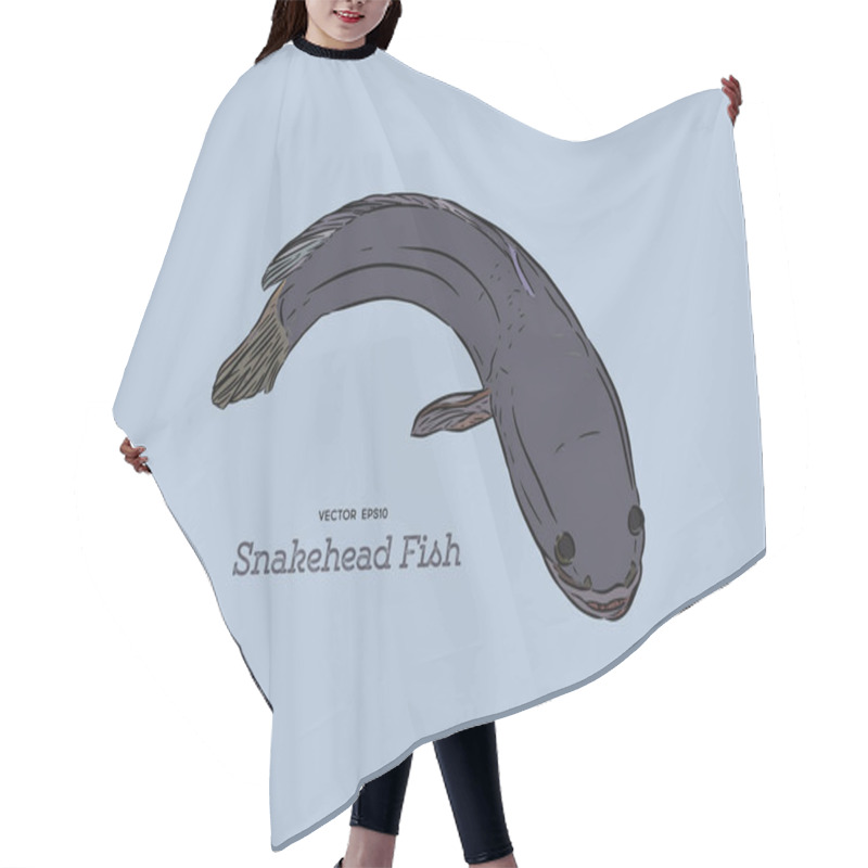 Personality  Snakehead Fish, Hand Draw Sketch Vector. Hair Cutting Cape