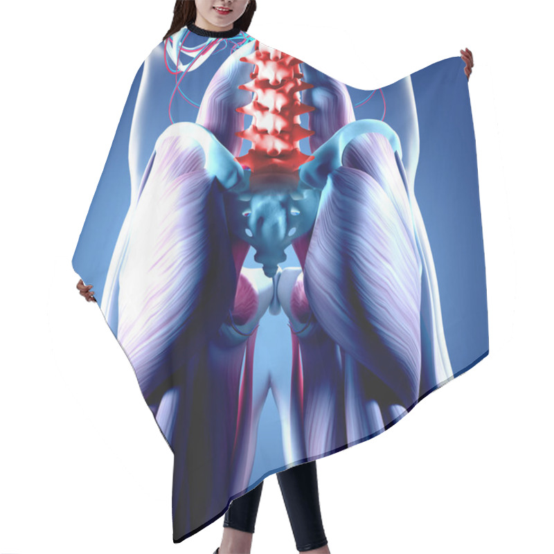 Personality  Human Spine And Pelvis Anatomy Model Hair Cutting Cape