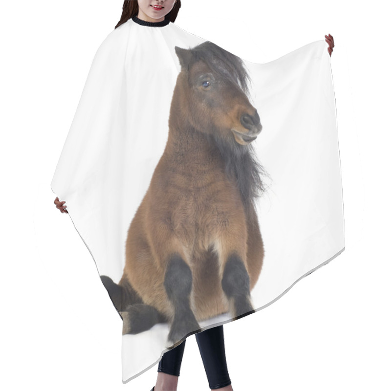 Personality  Shetland Pony Hair Cutting Cape