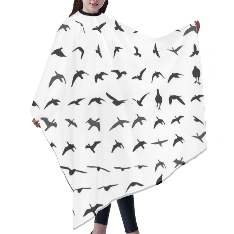 Personality  Flying Birds And Silhouettes On White Background. Vector Illustration. Isolated Bird Flying.  Hair Cutting Cape