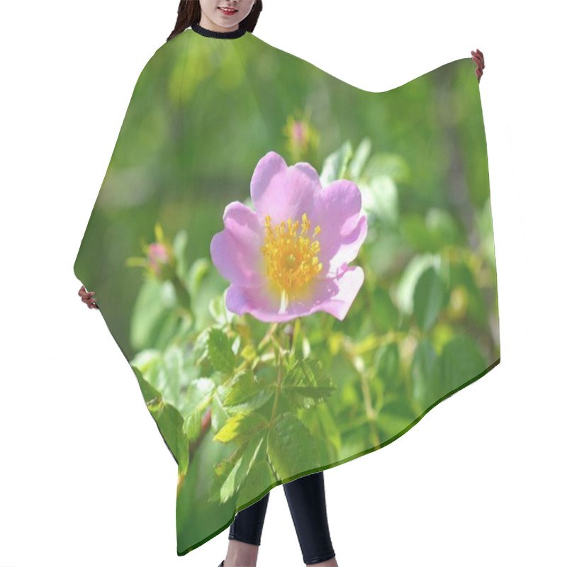 Personality   Pink Wild Rose Flower  Hair Cutting Cape