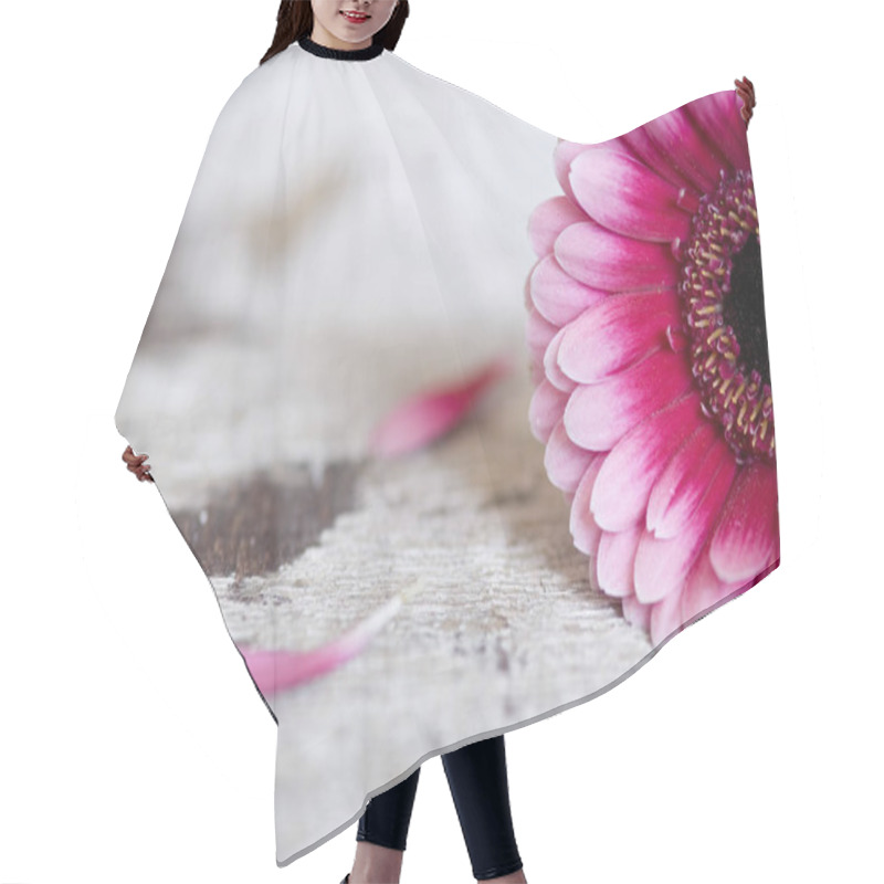 Personality  Gerbera Flower Petals, Flora Hair Cutting Cape