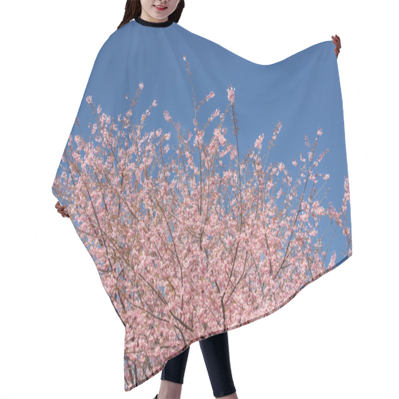 Personality  Beautiful Cherry Blossom Against Blue Sky Hair Cutting Cape