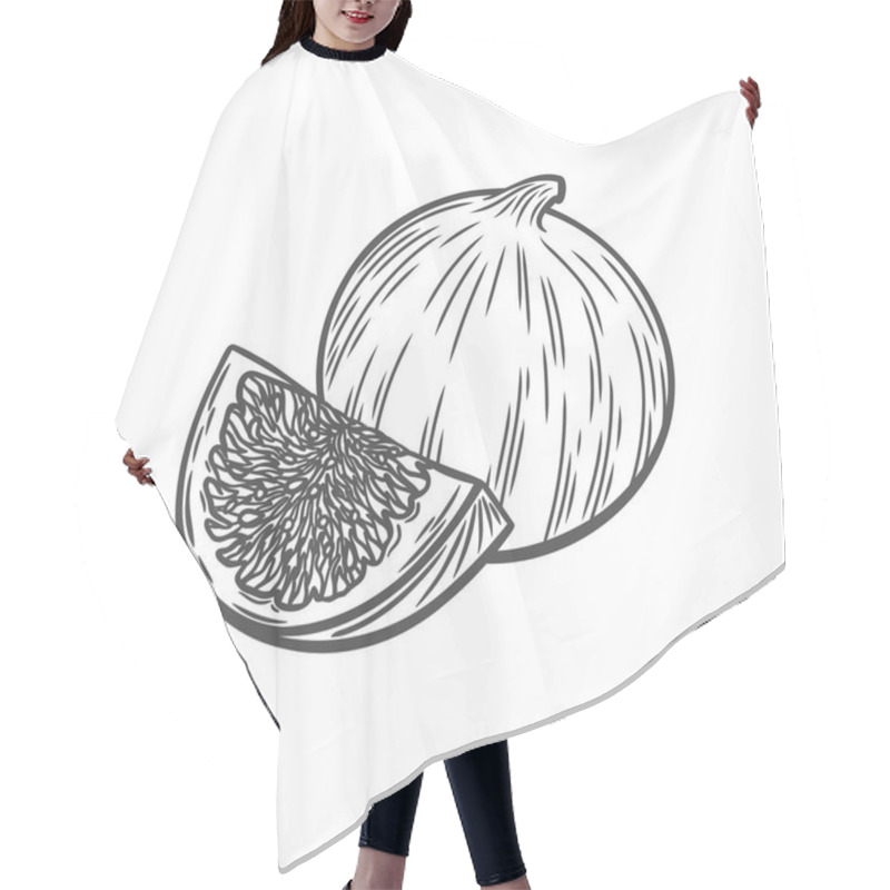 Personality  Drawing Of A Fig In The Style Of An Engraving. Fig Slice And Whole Fruit Line Drawing Hair Cutting Cape