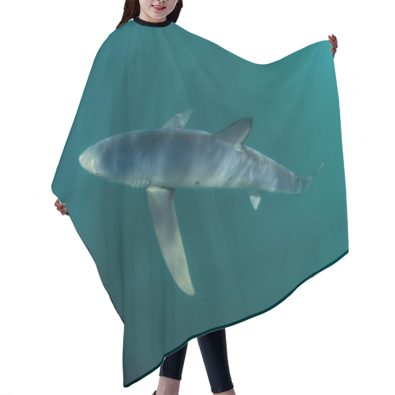 Personality  Blue Shark In Atlantic Ocean Hair Cutting Cape