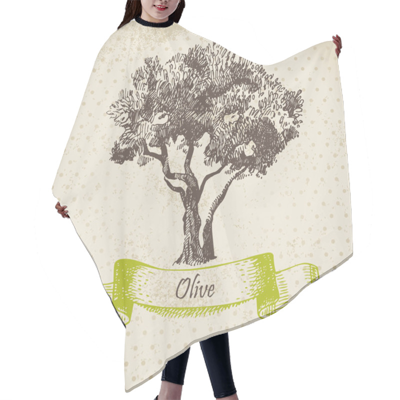 Personality  Olive Tree. Hand Drawn Illustration Hair Cutting Cape