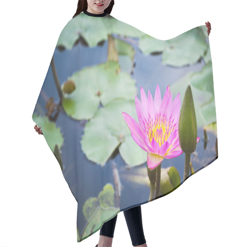 Personality  Bee Is Finding Nectar From Lotus Hair Cutting Cape