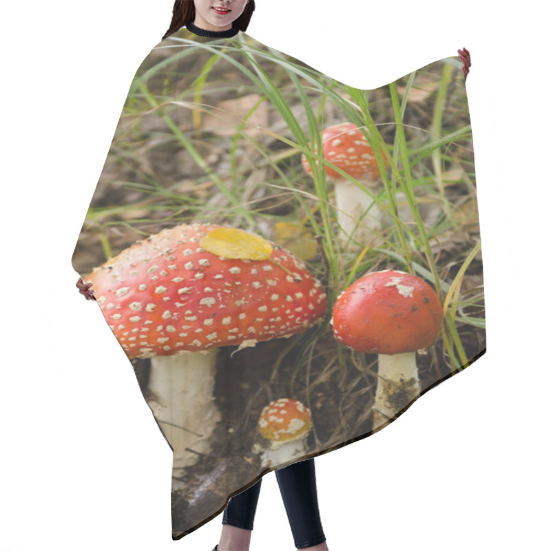 Personality  Agaric Amanita Muscaria Mushroom Hair Cutting Cape