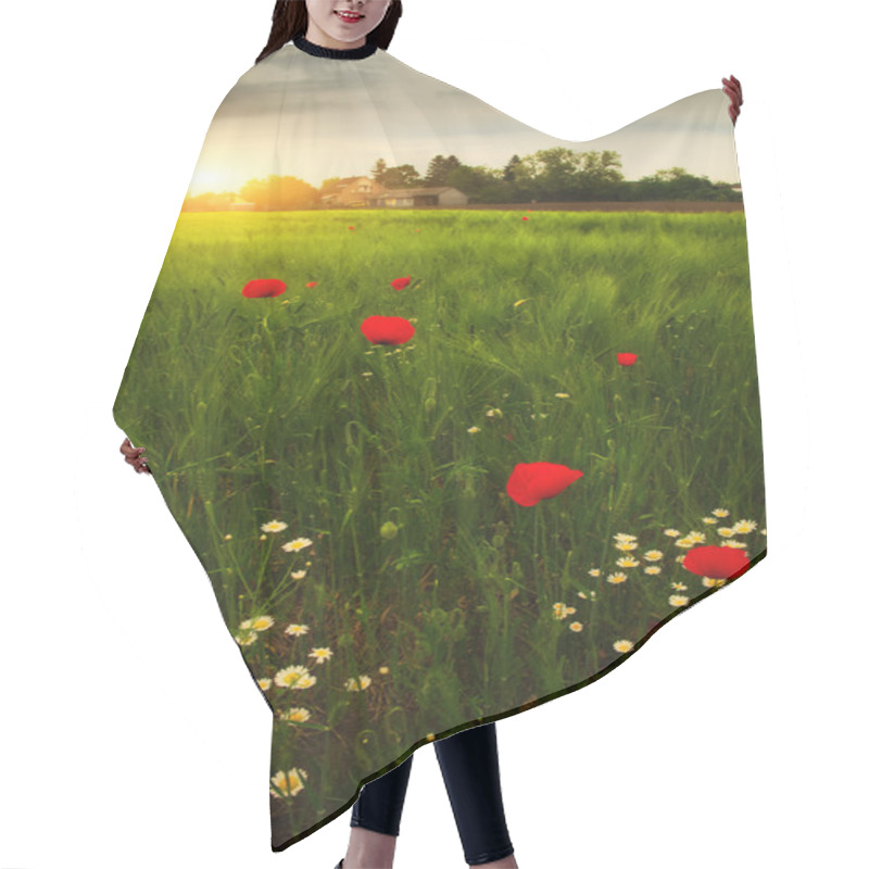 Personality  Poppies And Daisy Flowers Hair Cutting Cape