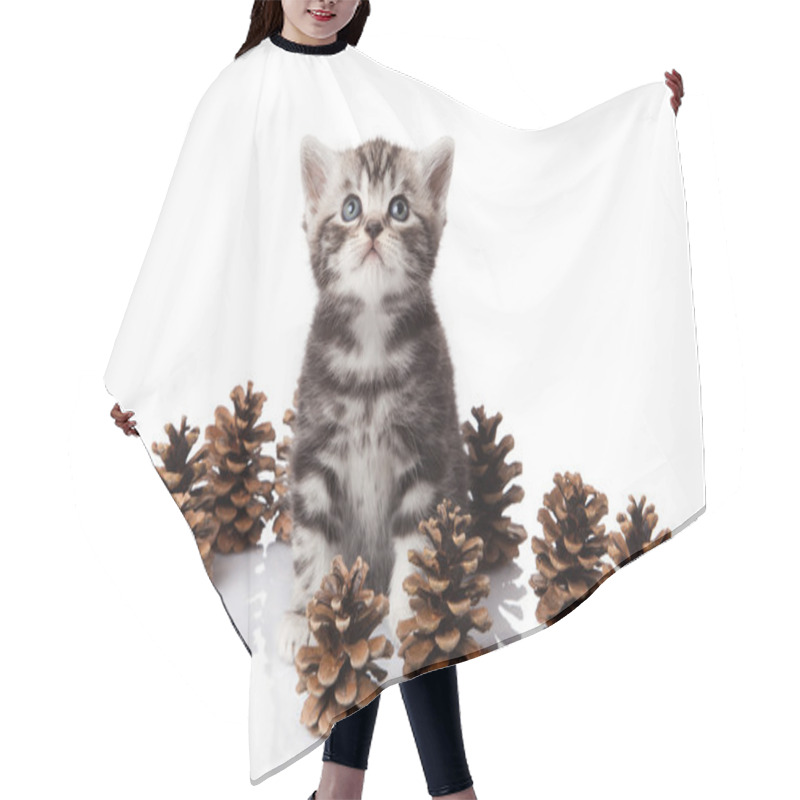 Personality  British Kitten With Pine Cones On White. Hair Cutting Cape