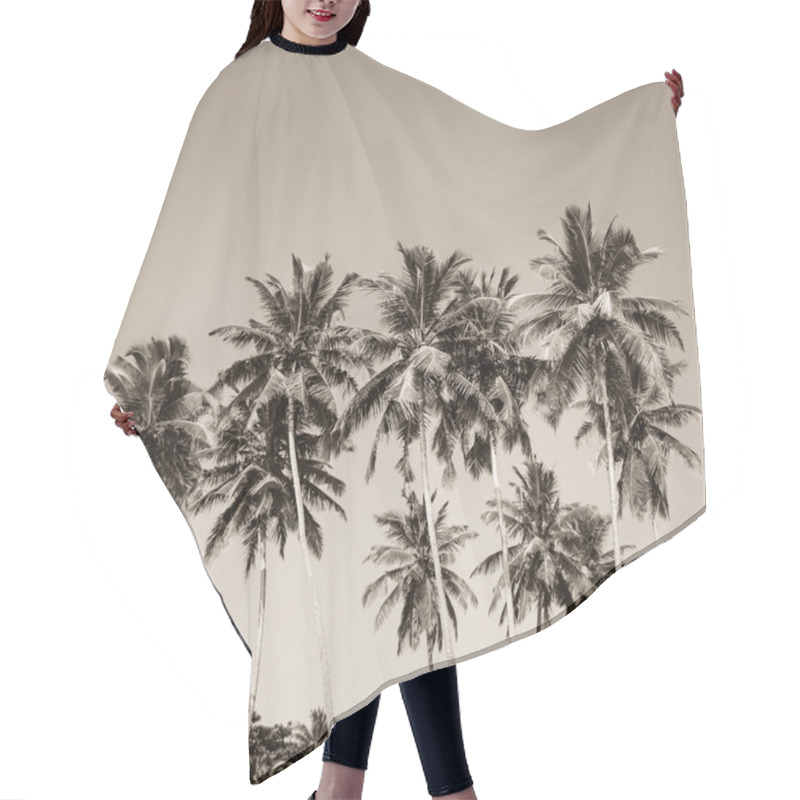 Personality  Coconut Palm Trees And Mangrove In Tropics  Hair Cutting Cape