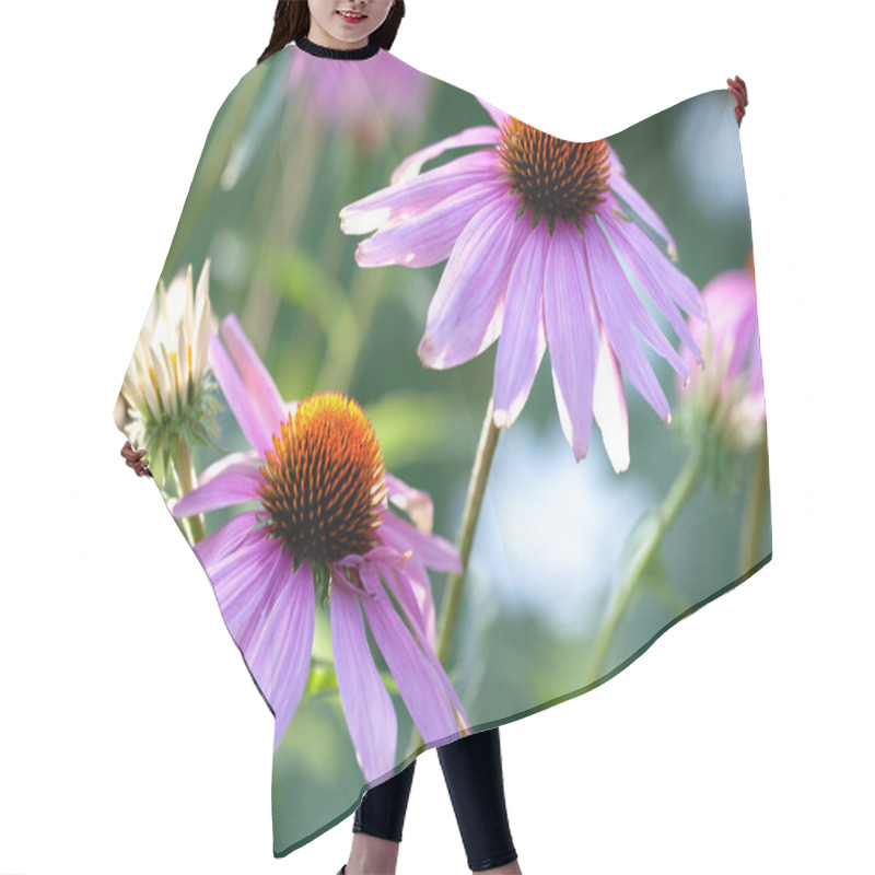 Personality  Echinacea Flowers Hair Cutting Cape