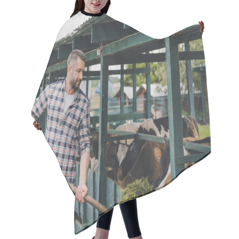 Personality  Middle Aged Farmer In Checkered Shirt Feeding Cows With Grass At Ranch  Hair Cutting Cape