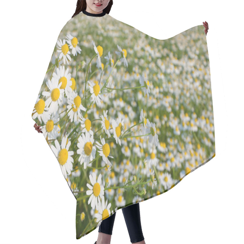 Personality  Chamomile Flowers Hair Cutting Cape