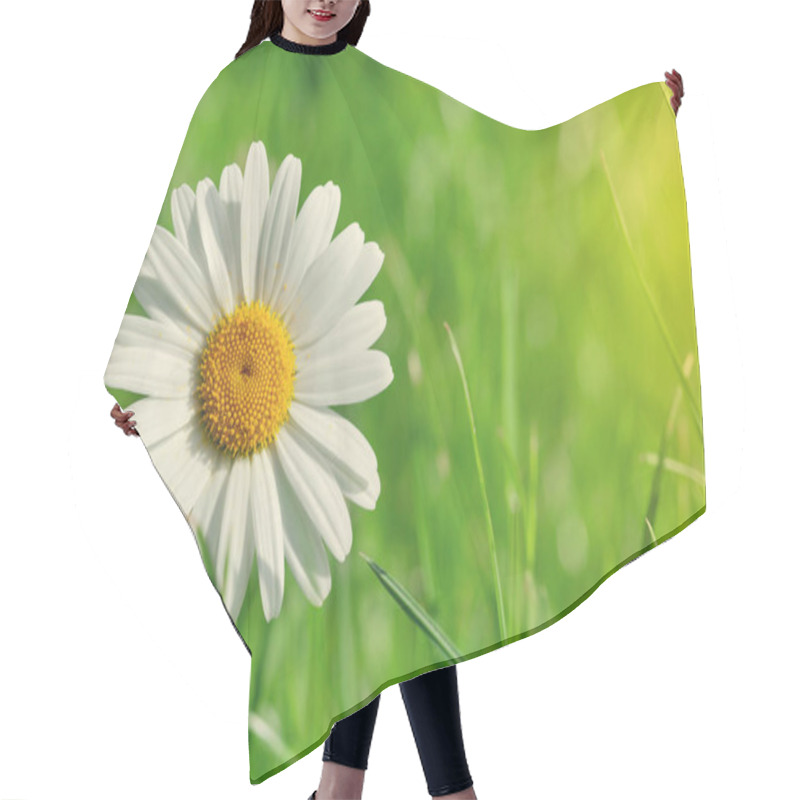 Personality  Chamomile Flower Close Up Hair Cutting Cape