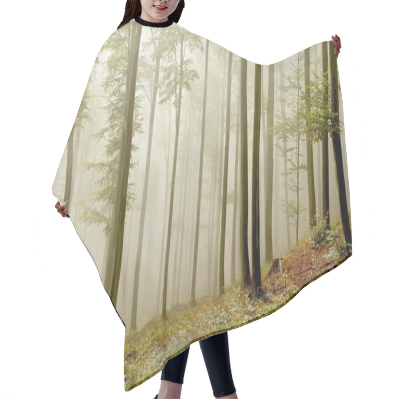 Personality  Picturesque Beech Forest Hair Cutting Cape