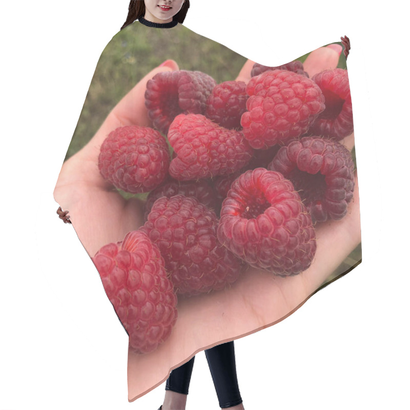 Personality  A Handful Of Ripe Raspberries Filled In A Woman's Hand On A Background Of Soil Hair Cutting Cape