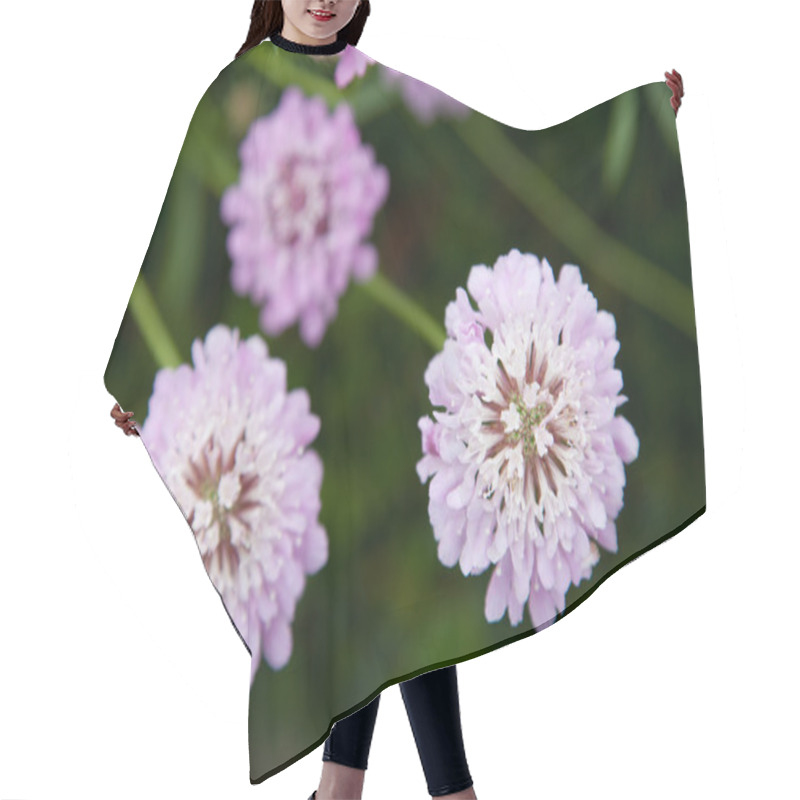 Personality  Lavender Pincushion Flower Hair Cutting Cape