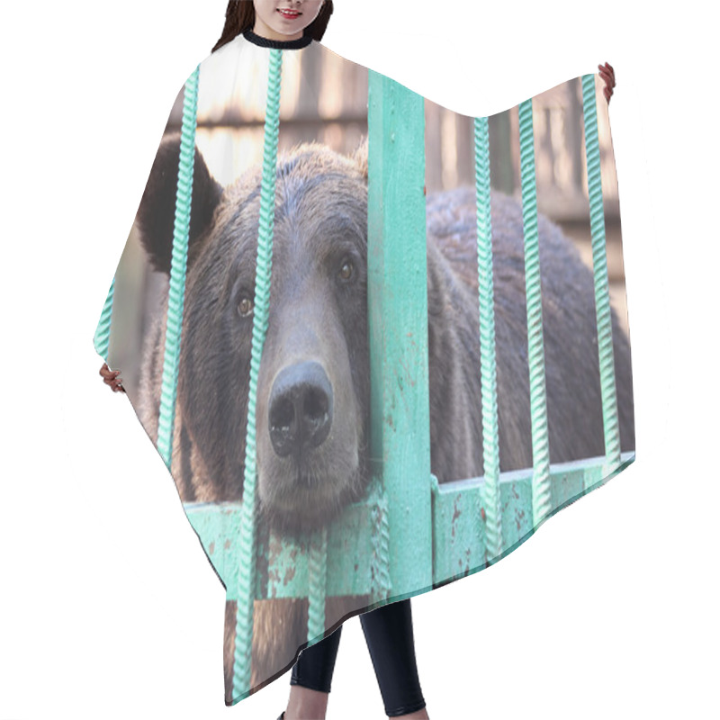 Personality  Bear Closed In Zoo Cage Hair Cutting Cape