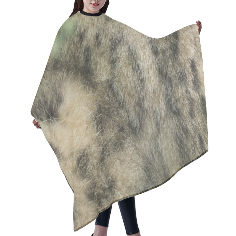 Personality  Wild Snow Leopard  Fur Texture. Hair Cutting Cape