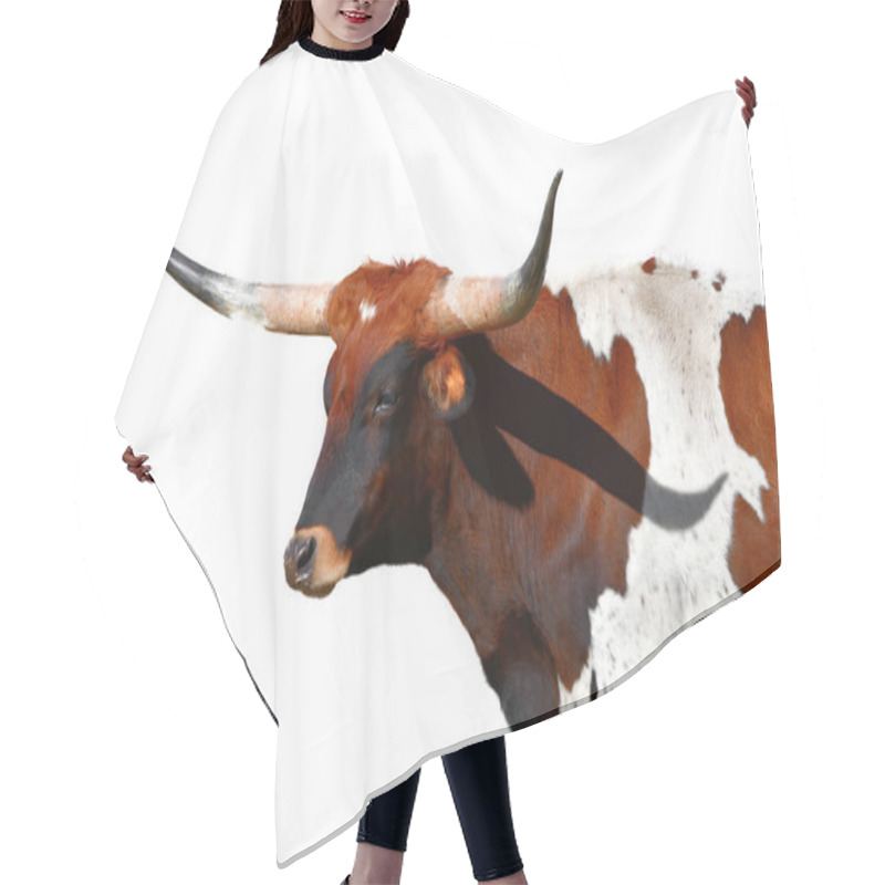 Personality  Long Horn Steer Cutout Isolated On White Background Hair Cutting Cape