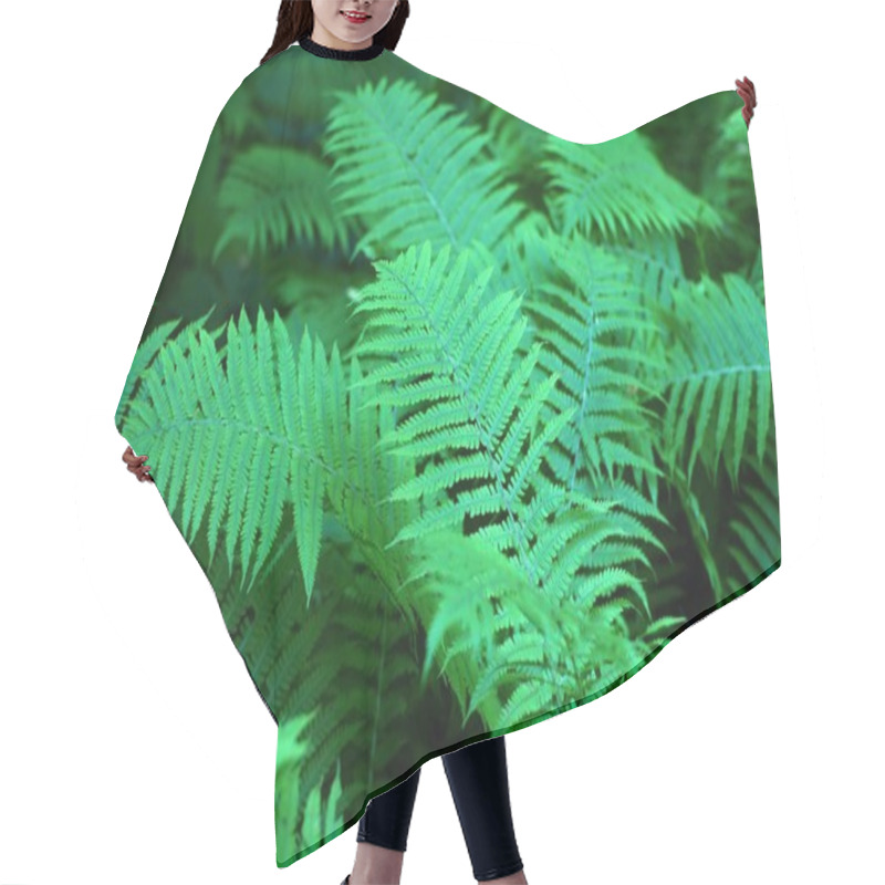 Personality  Green Fern Closeup For A Background Hair Cutting Cape