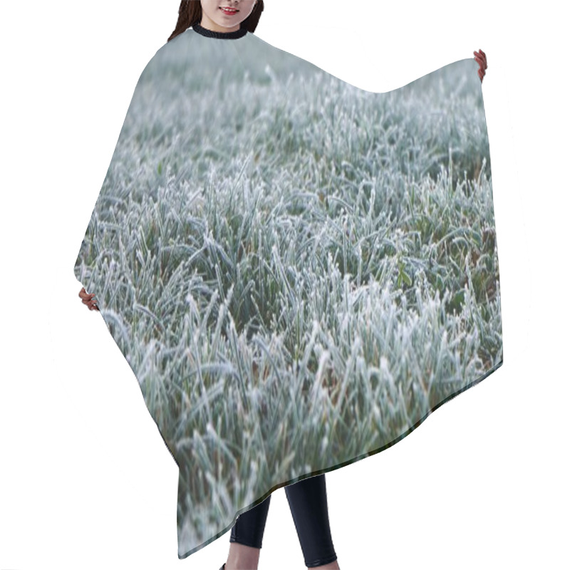 Personality  Meadow With Grass Covered In Frost On A Cold Winter Morning Hair Cutting Cape