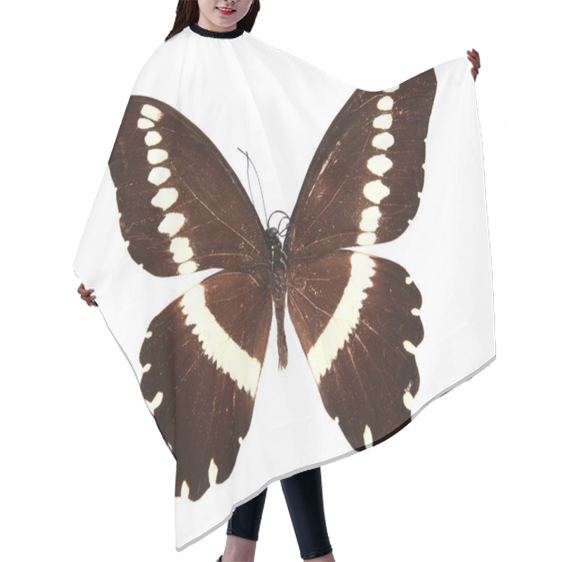 Personality  Brown Yellow Butterflies Isolated On A White Background Hair Cutting Cape