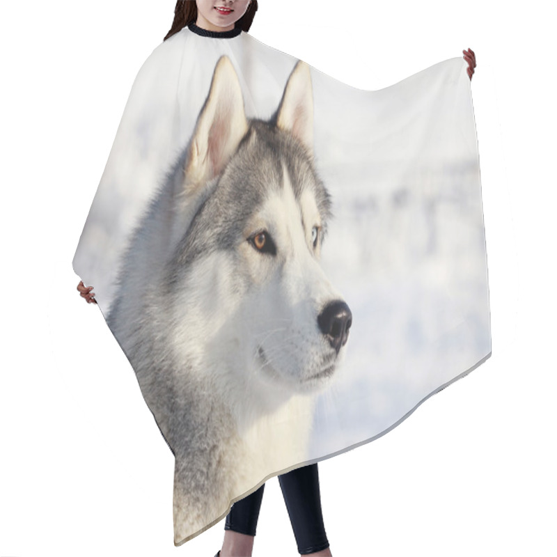 Personality  Husky Hair Cutting Cape