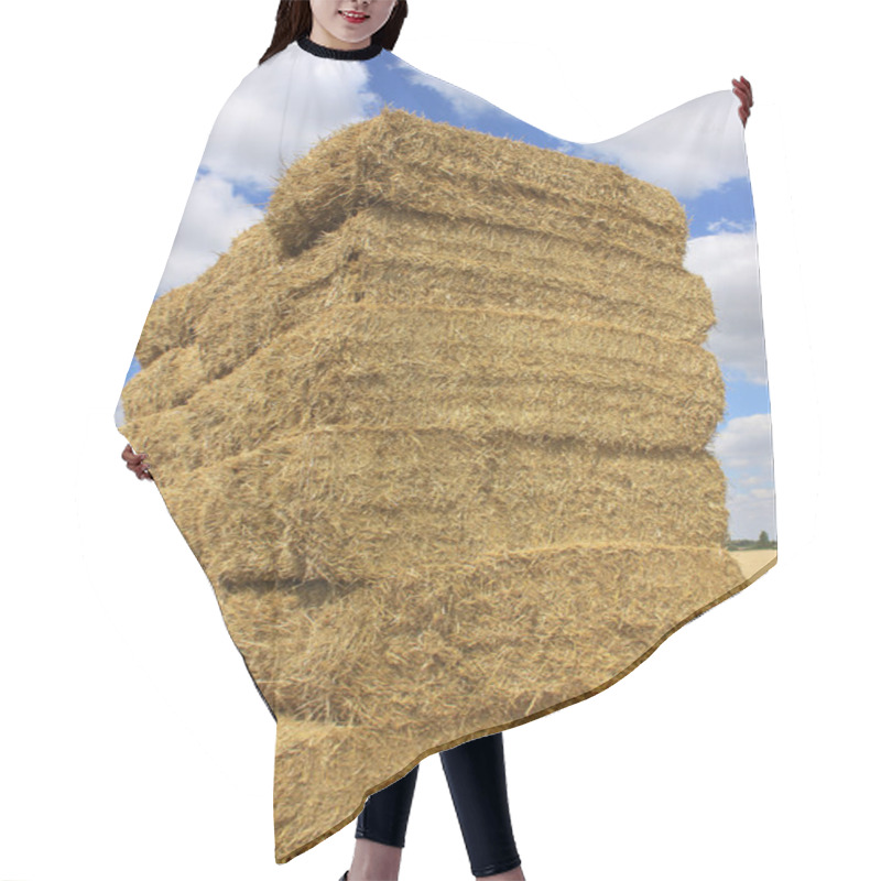 Personality  Haystack Hair Cutting Cape