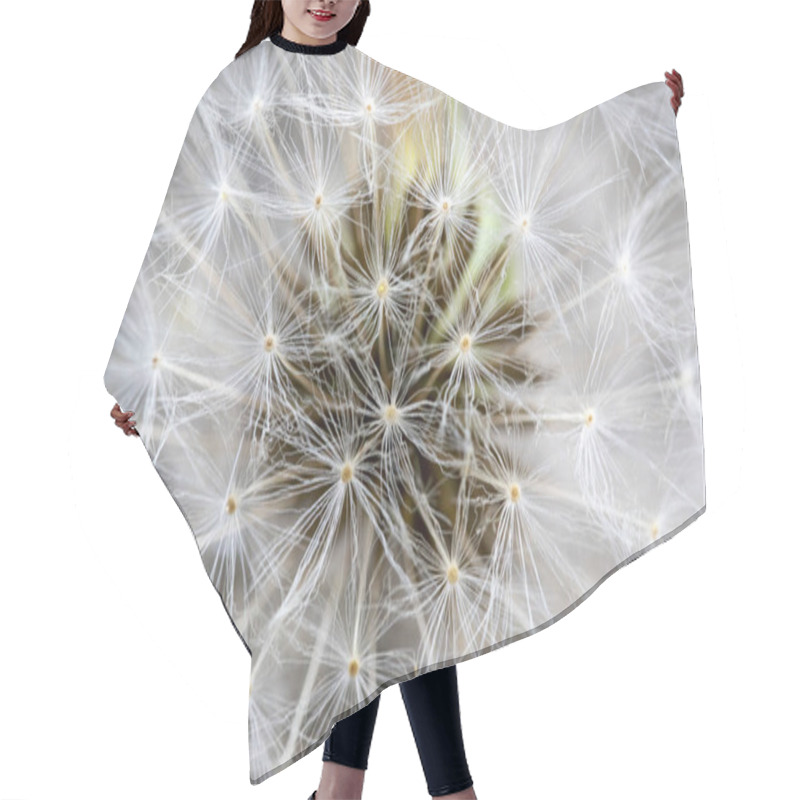 Personality  Fluffy Dandelion In Close Up With Seeds Hair Cutting Cape